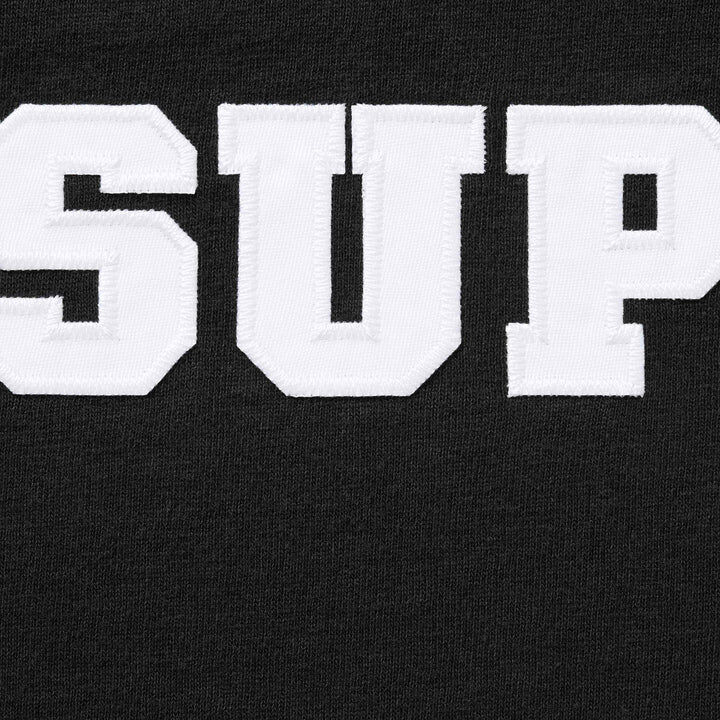 2025AW SUPREME COLLEGIATE APPLIQUE S/S TOP LOGO 貼布 字體 短T 現貨 FW25KN77