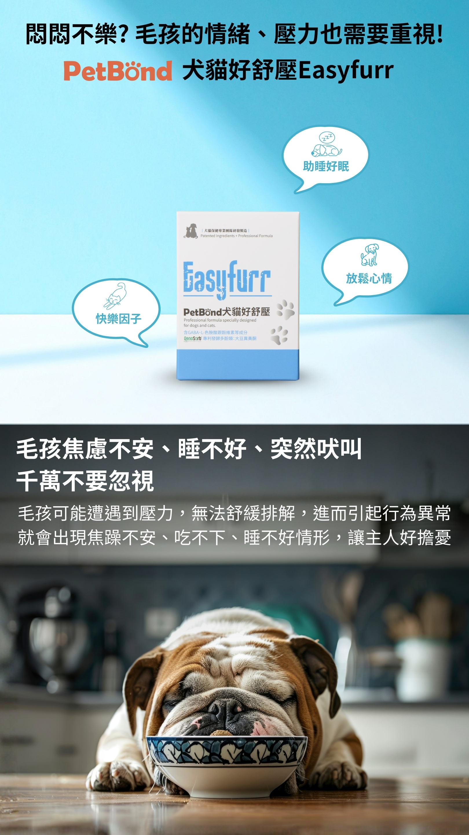 PetBond Easyfurr 大貓好舒壓營養補充品形象圖,呈現產品包裝、助眠與放鬆等機能圖示,並以焦慮表現的鬥牛犬作為情緒壓力情境示意。