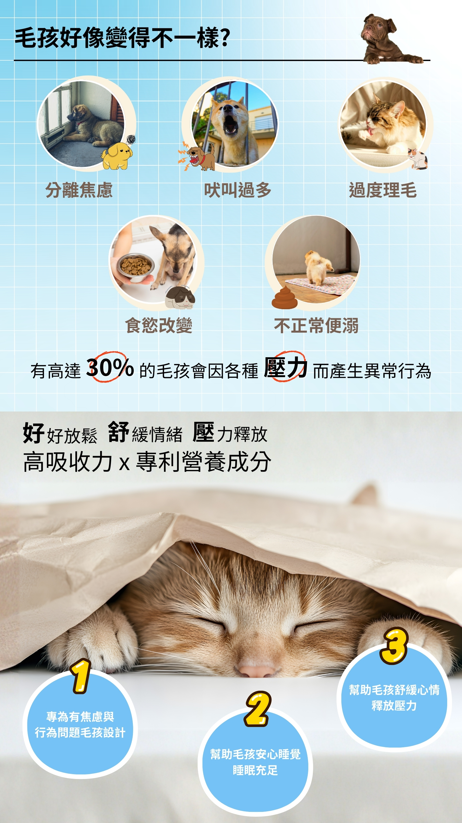 呈現毛孩常見壓力異常行為的完整資訊視覺,包含分離焦慮的狗狗坐在窗邊、吠叫過多的狗狗對外大叫、貓咪因緊迫過度理毛、狗狗因壓力導致食慾改變不願進食、小狗在尿布墊上出現異常便溏;並說明約30%的毛孩會因壓力產生問題行為。下方以貓咪在紙袋下安心睡覺的照片象徵放鬆效果,搭配三大功效重點:專為焦慮與行為問題毛孩設計、幫助毛孩安穩睡眠、協助毛孩舒緩心情與釋放壓力。