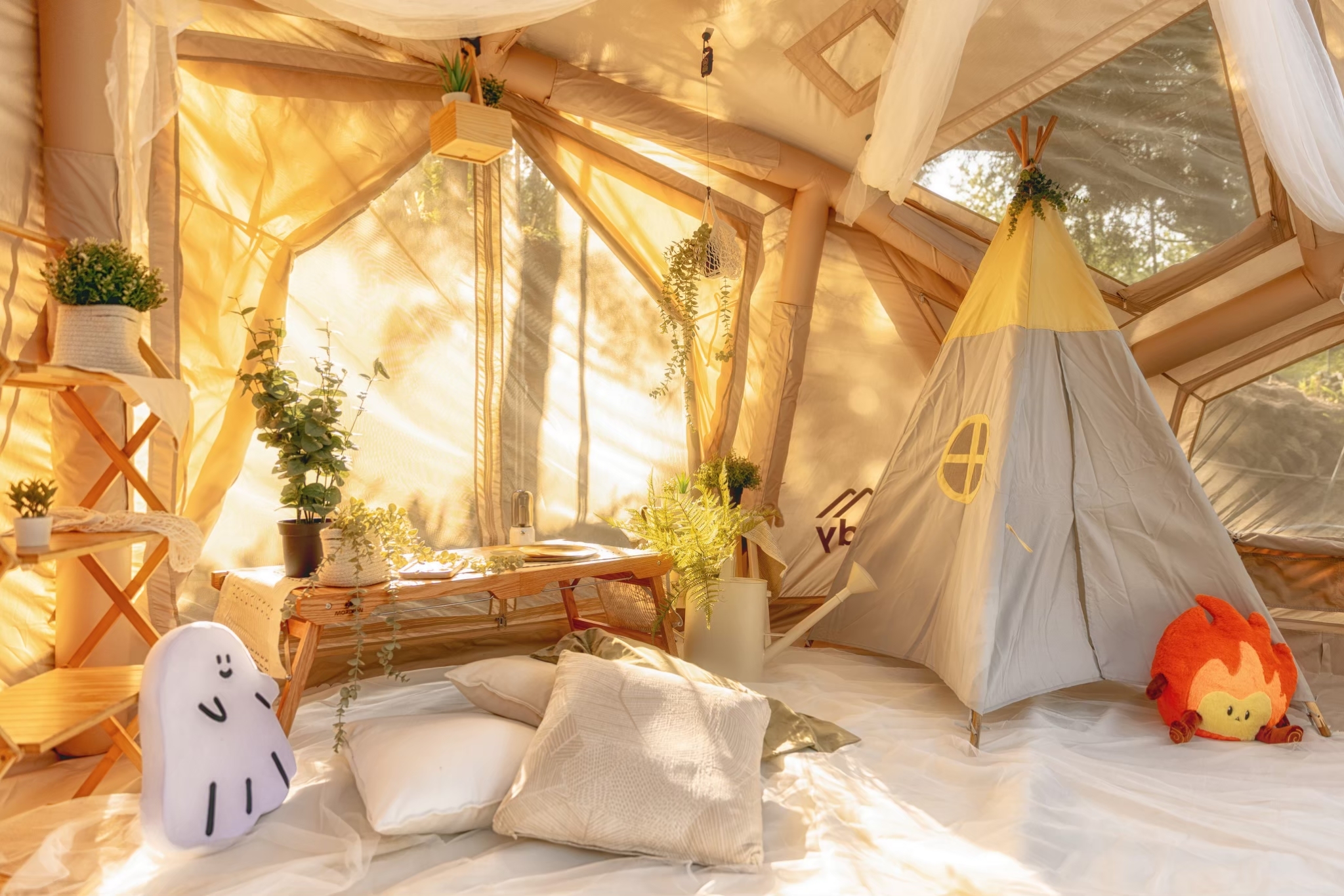 Coody 安全為首要職責