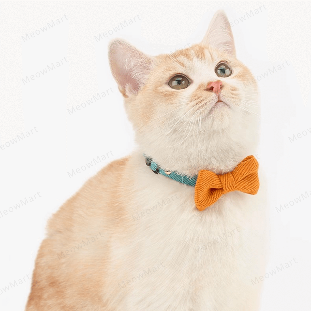 雙色蝴蝶結貓頸圈