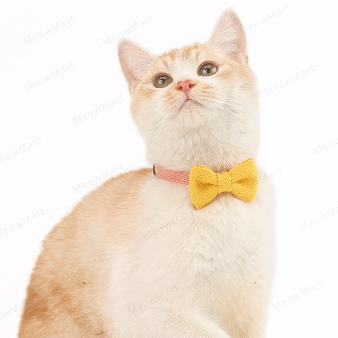 雙色蝴蝶結貓頸圈