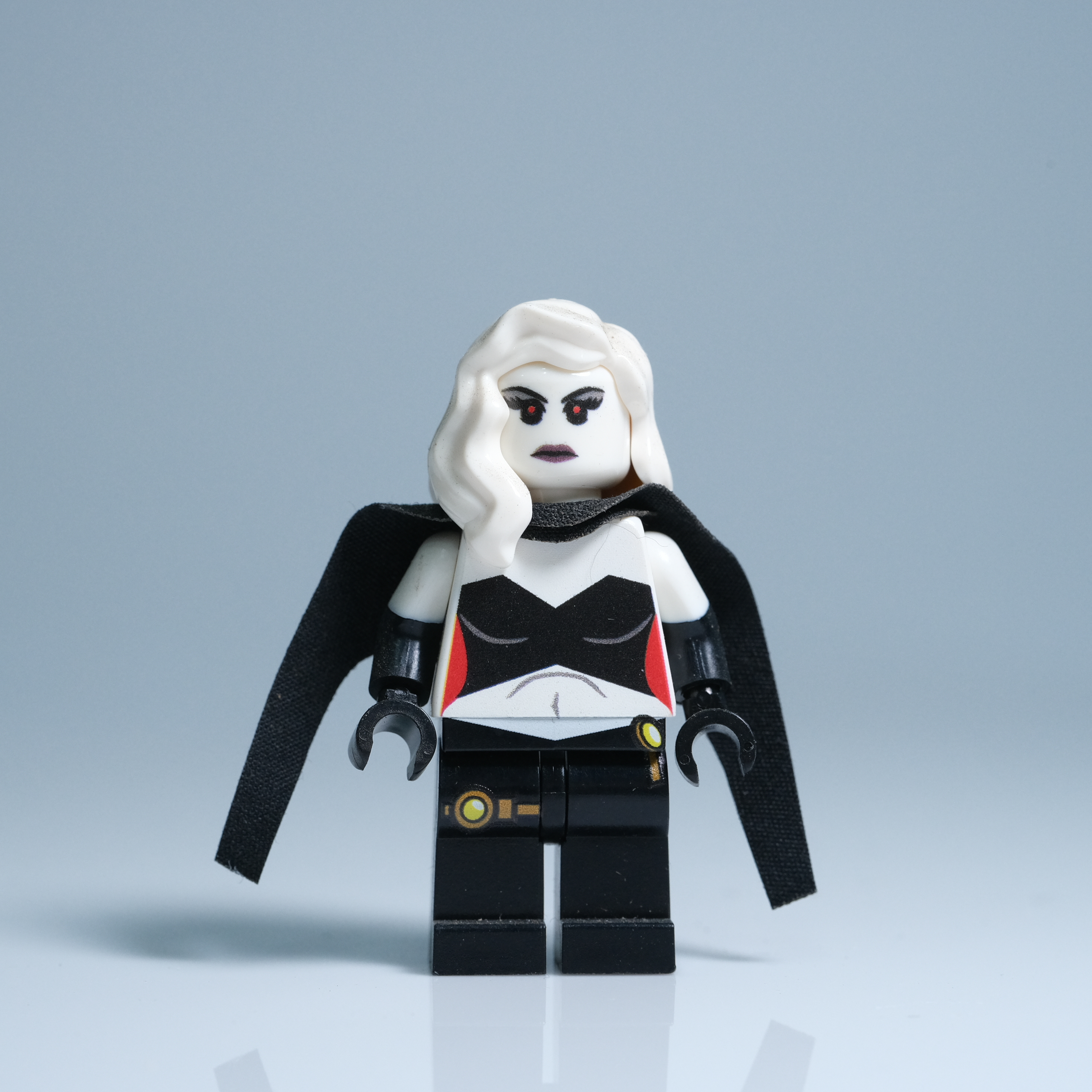 展示品人偶 Black Swan&nbsp;黑天鵝