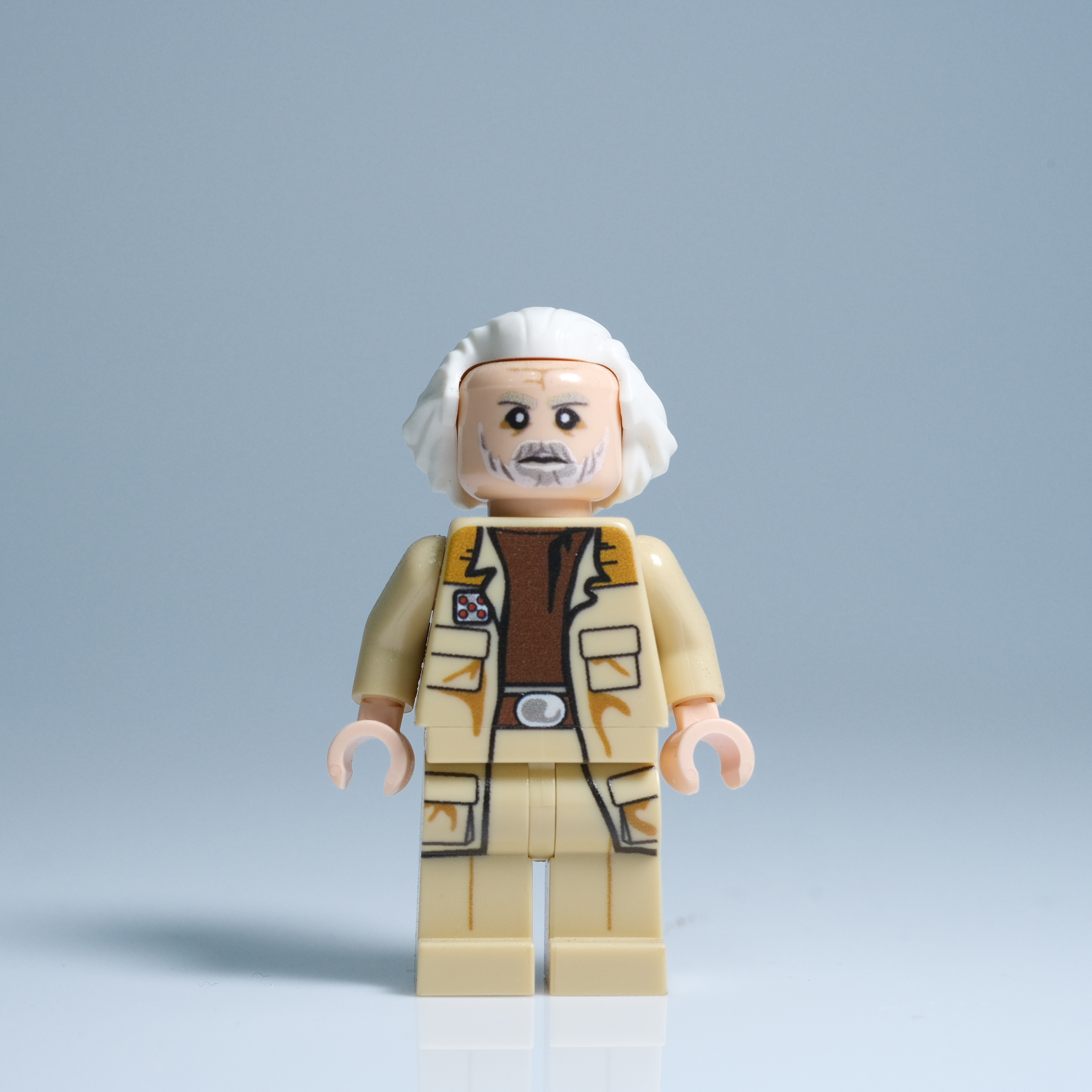 展示品人偶 簡·多登納將軍