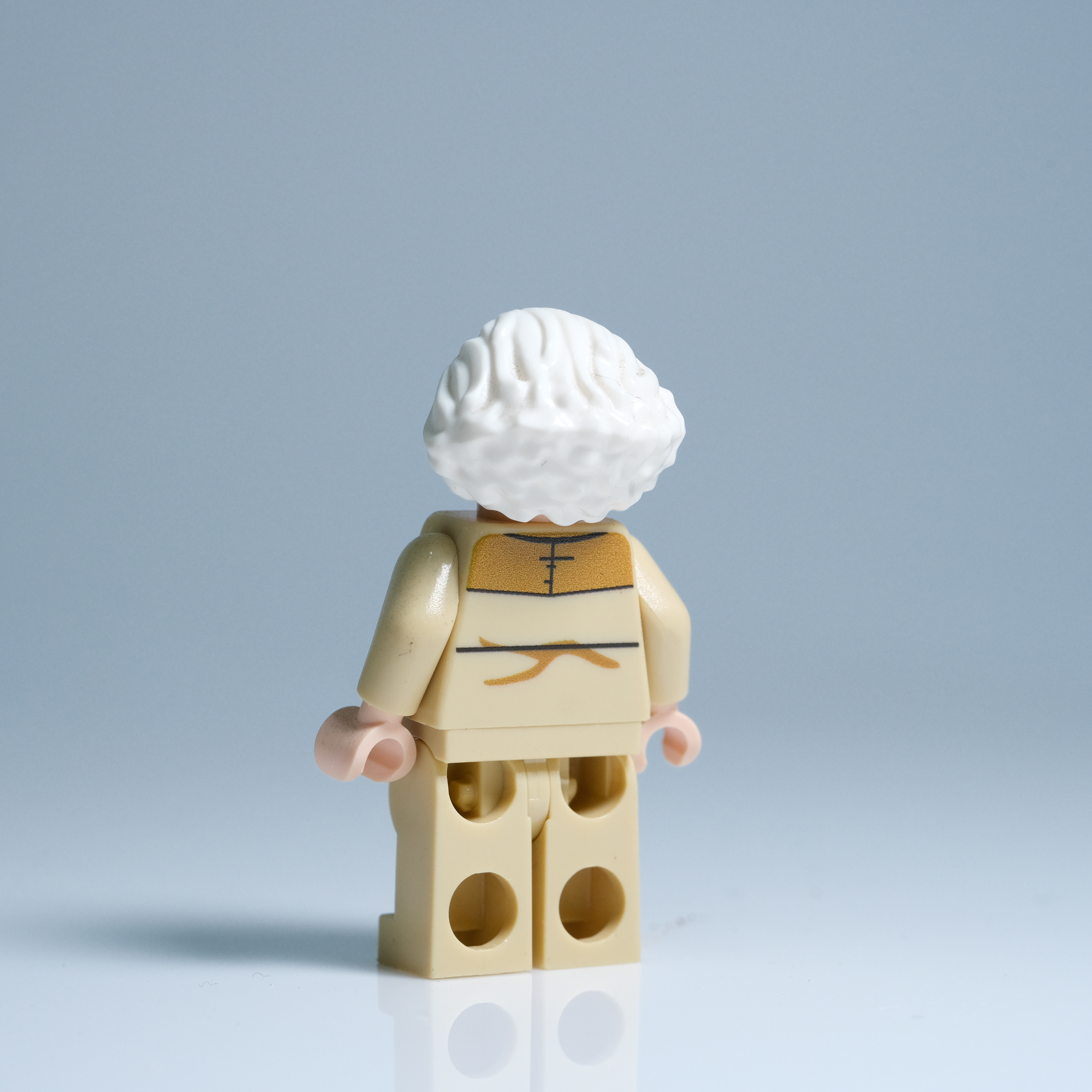 展示品人偶 簡·多登納將軍