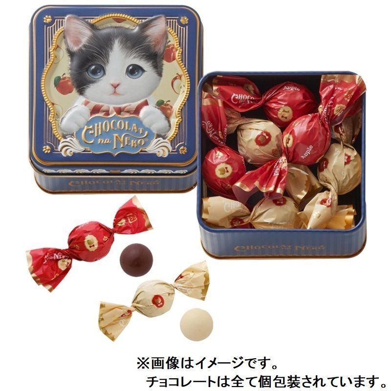 【預購】JN112203 Morozoff  貓咪巧克力鐵盒裝(6粒裝)