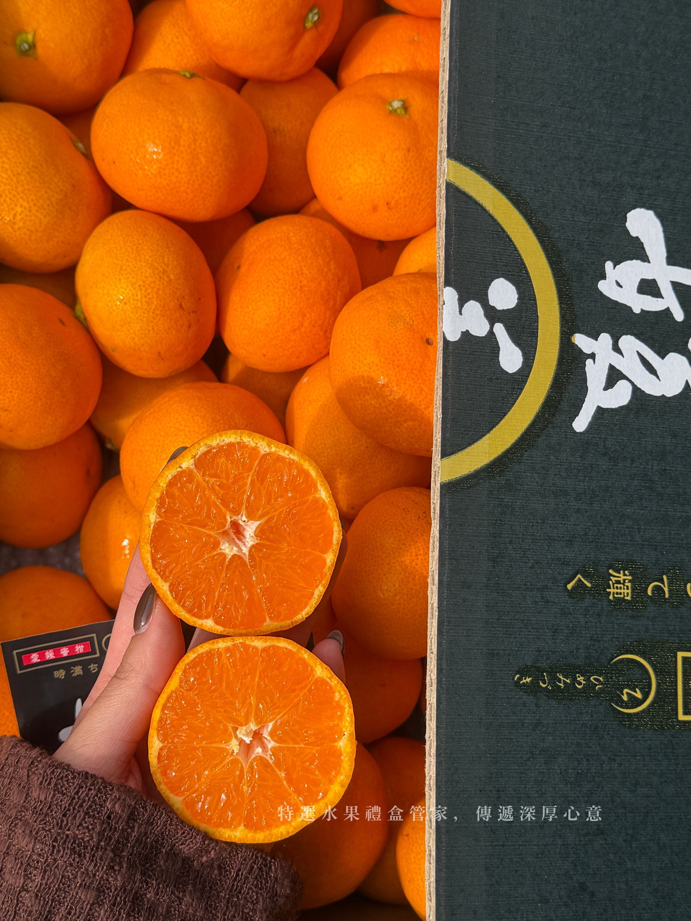 奇果｜日本愛媛媛月蜜柑