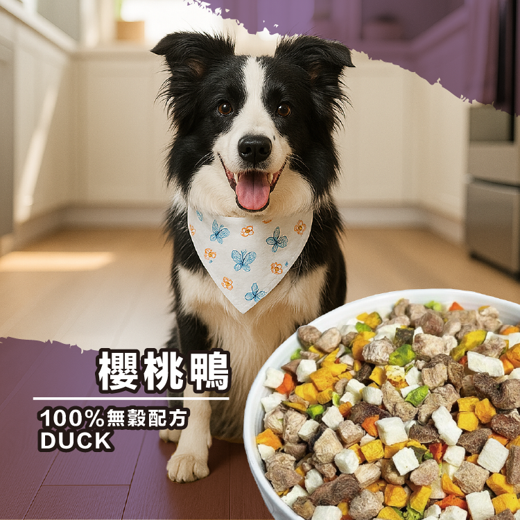 櫻桃鴨｜家庭包250g｜狗狗凍乾熟食主食