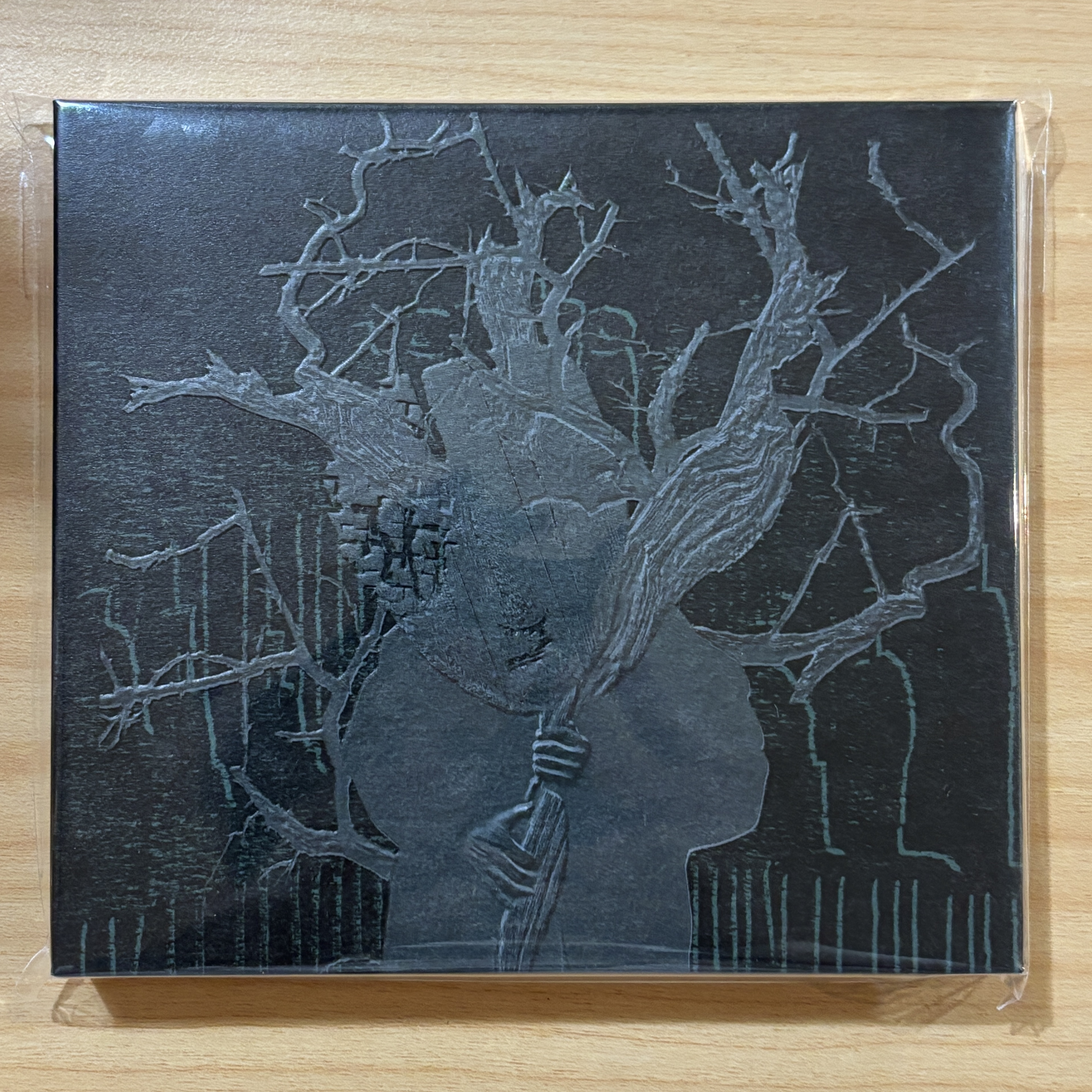 someshiit 山姆《愚公》（簽名版CD）