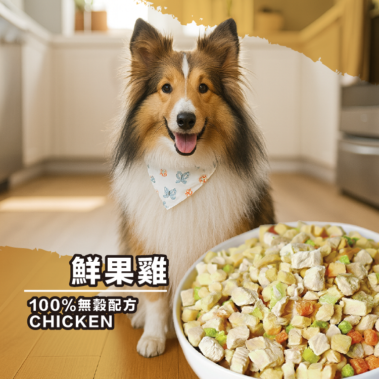 鮮果雞 鮮食凍乾主食｜20g旅行包