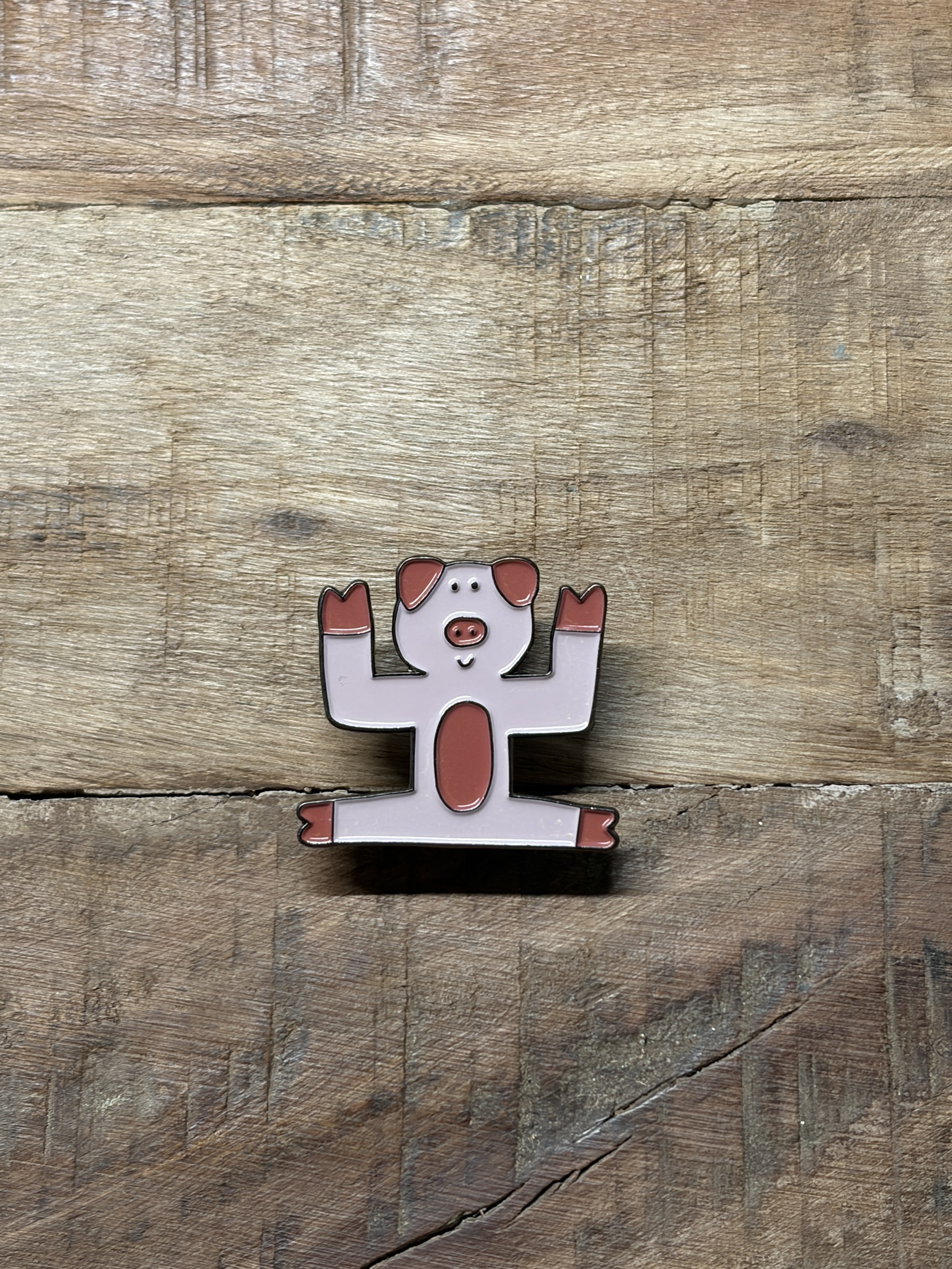 豬的「ㄓ」/銅烤漆金屬徽章/注音符號系列