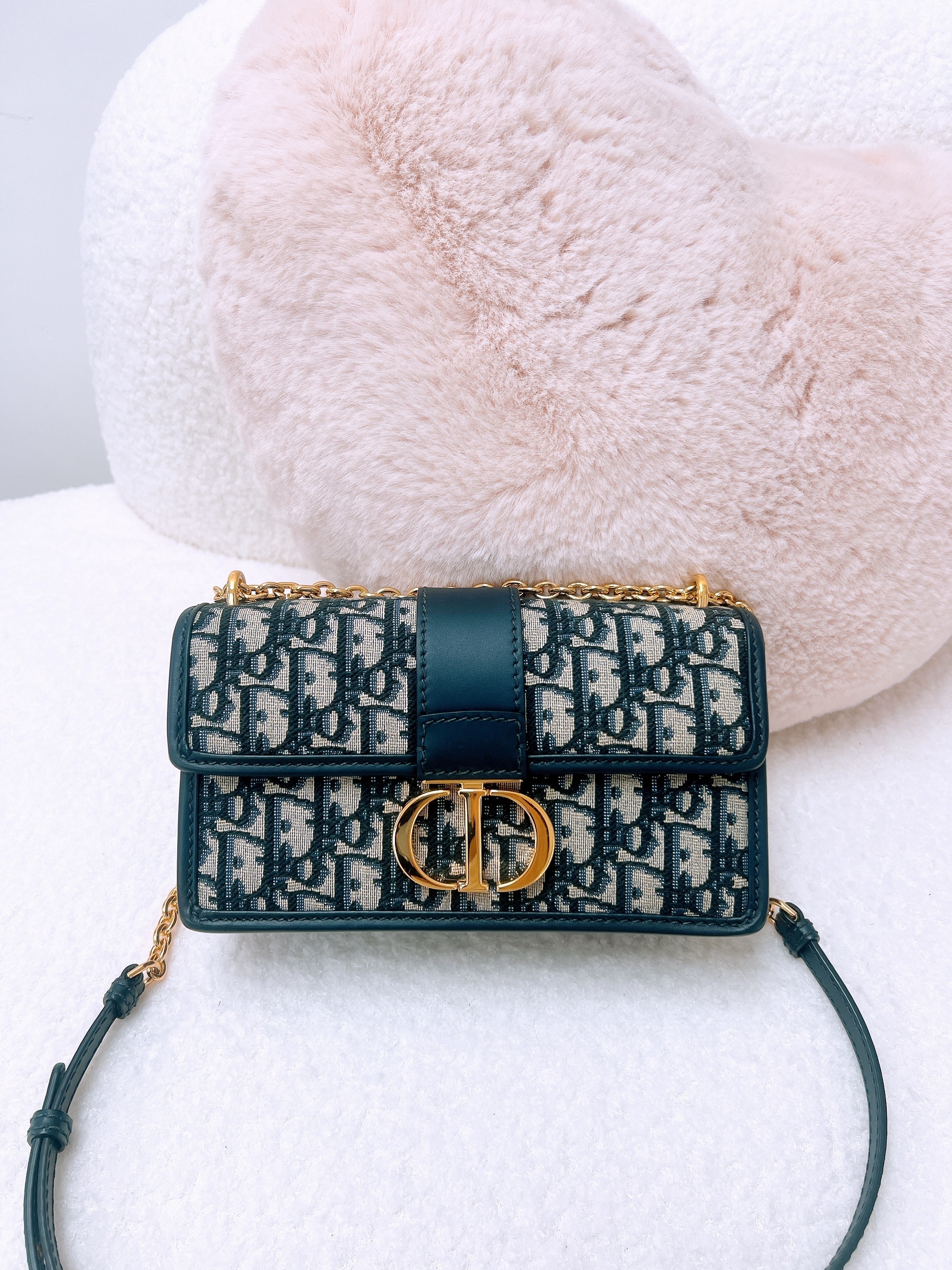 Dior 30 montaigne east west chain bag (blue oblique)