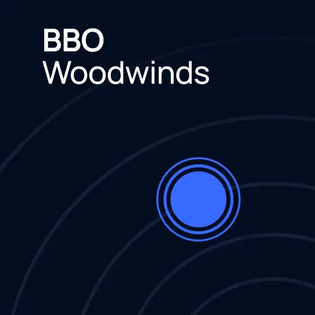 Vienna Symphonic Library Big Bang Orchestra Woodwinds｜木管音源庫