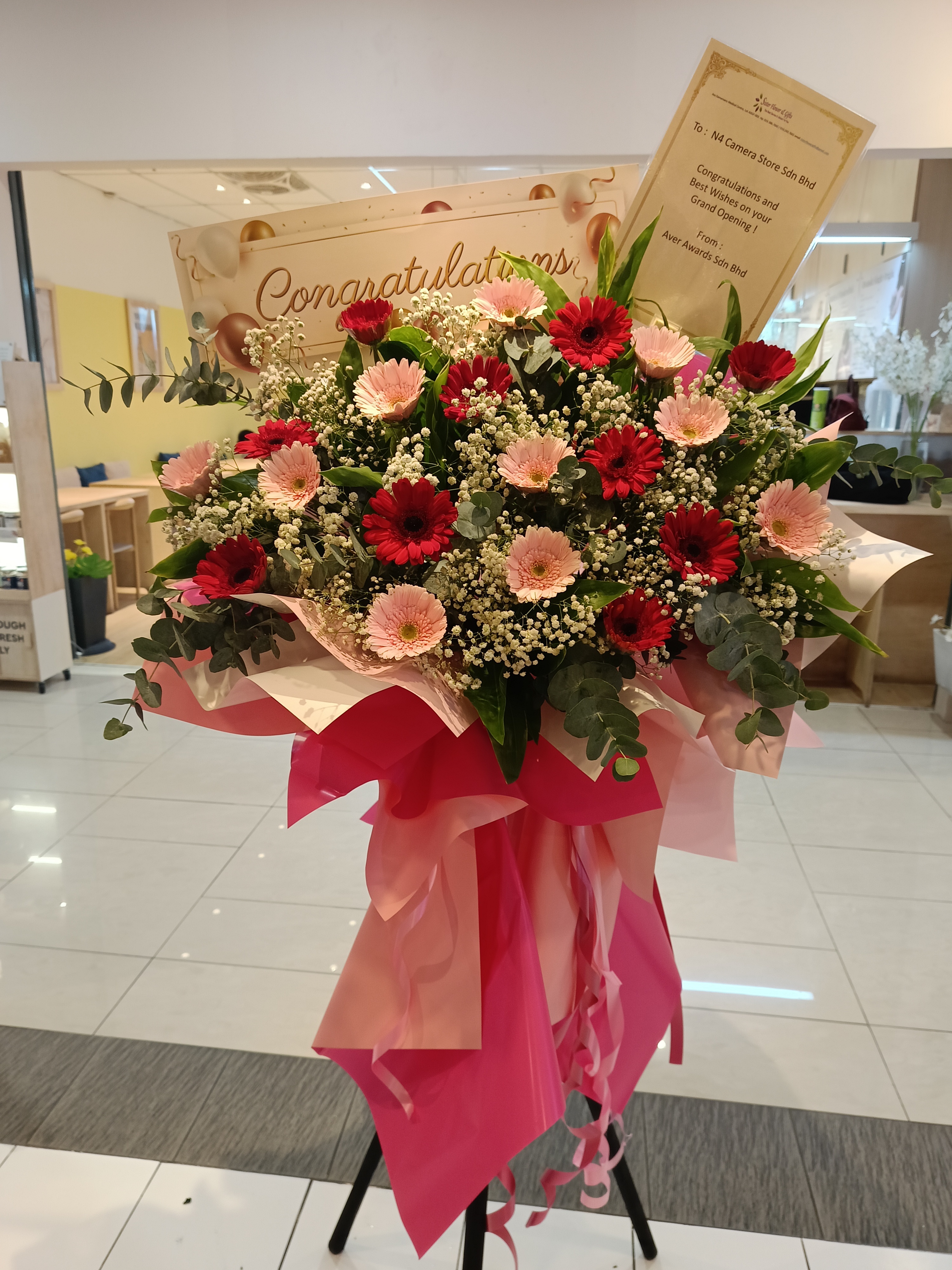 Grand Opening - GO49