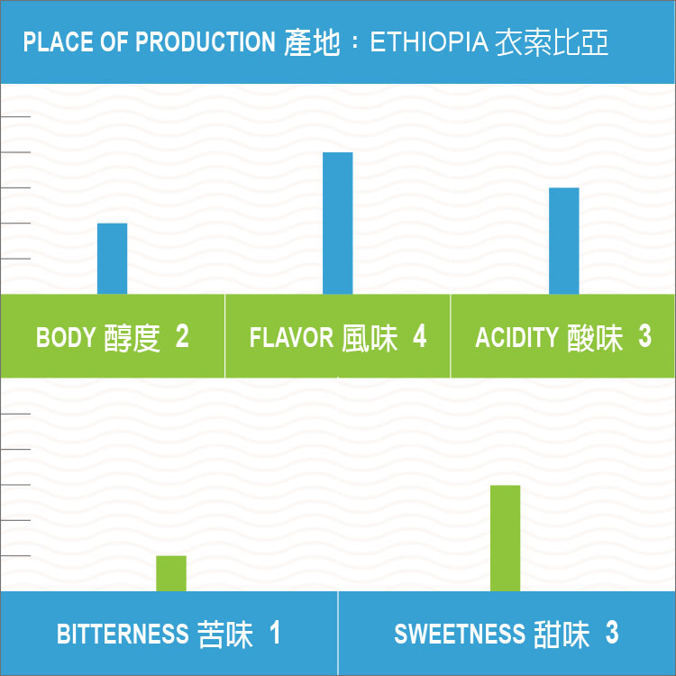 衣索比亞 耶加雪菲 伊迪朵 阿赫雷處理廠 水洗 G1
