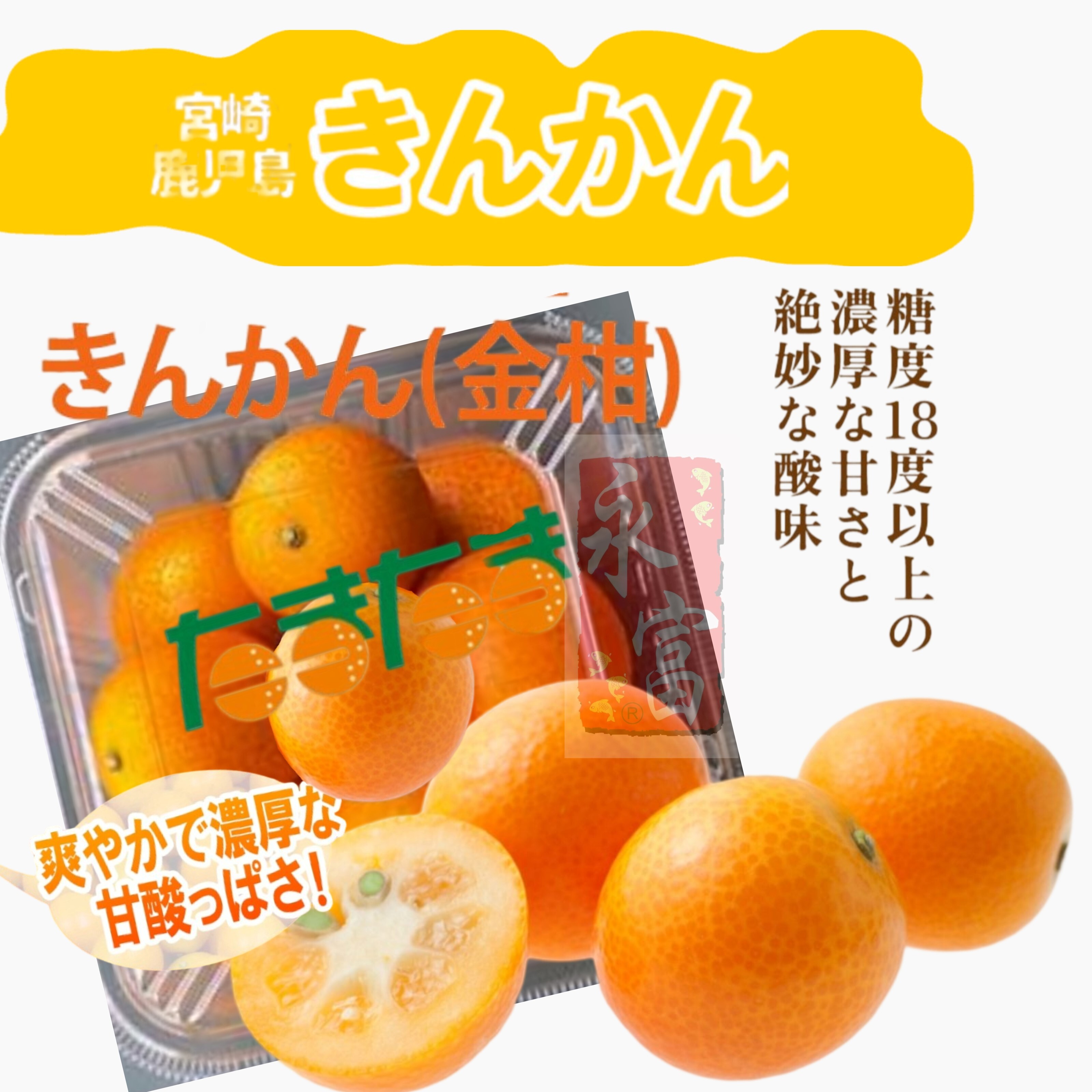 日本宮崎縣柑桔(250G)-1盒