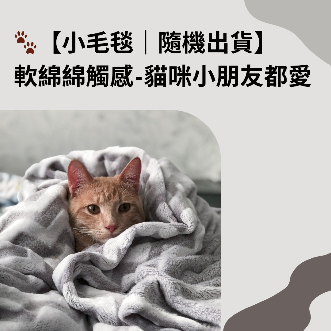 板橋院｜🐾【交換禮物小毛毯｜隨機出貨】貓咪小朋友都愛的軟綿綿觸感