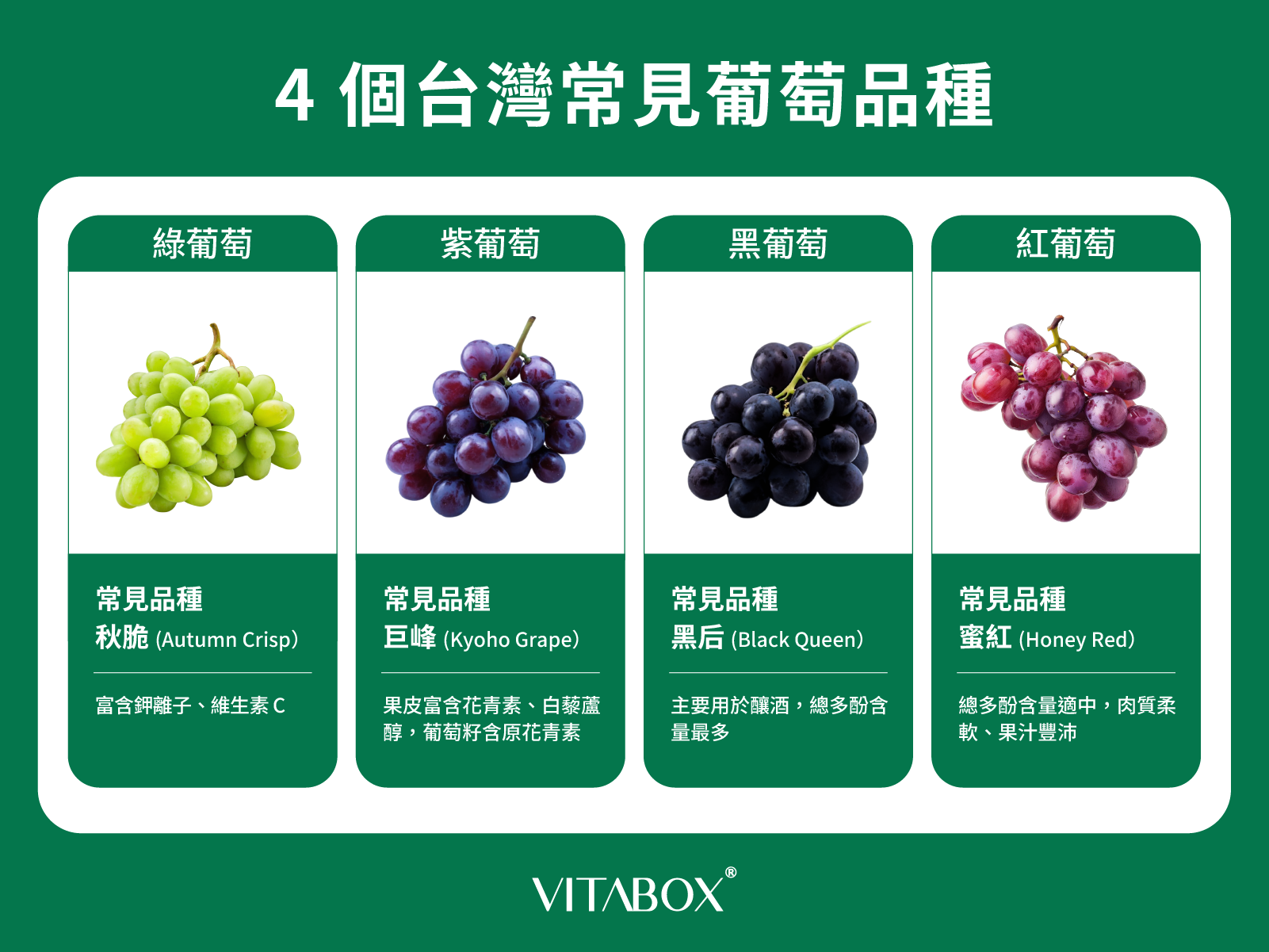 認識台灣常見葡萄品種，了解吃葡萄的好處