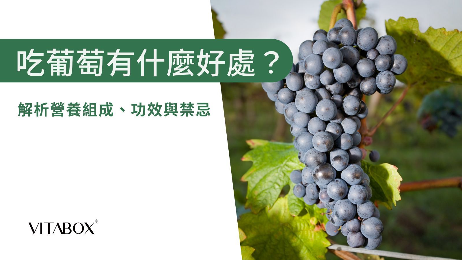 葡萄的功效是什麼？幫助抗氧化、抗發炎