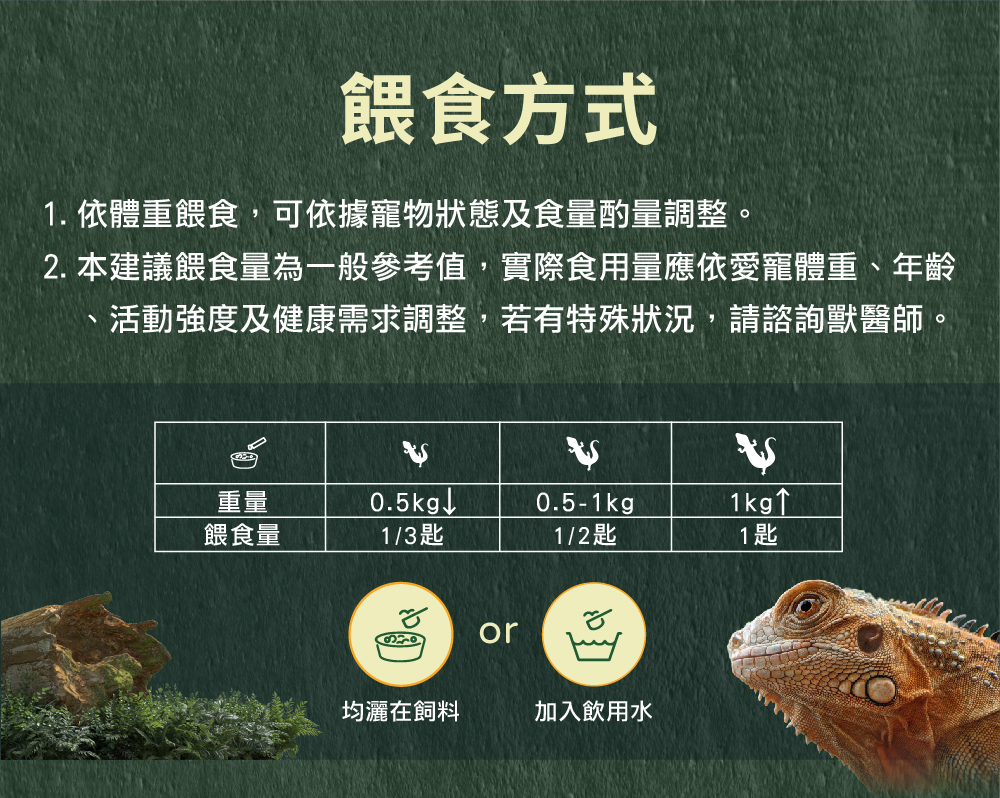 威旺蜥蜴益生菌的建議餵食方式