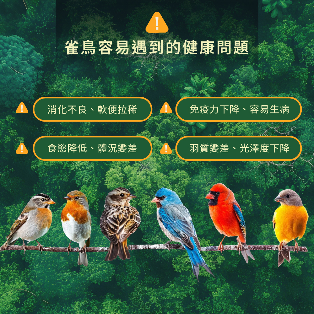 飼養雀鳥常見問題