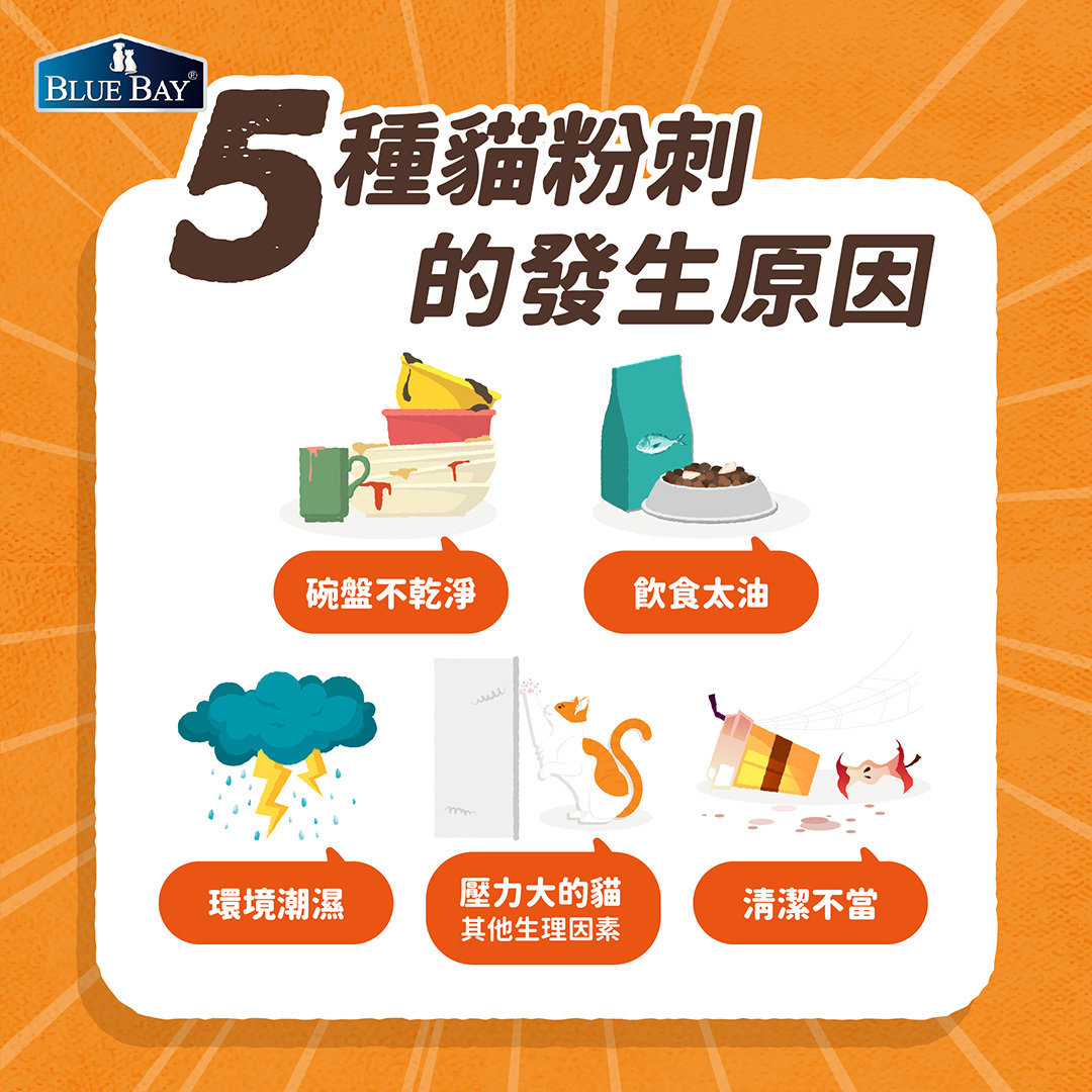 為什麼貓會長貓粉刺