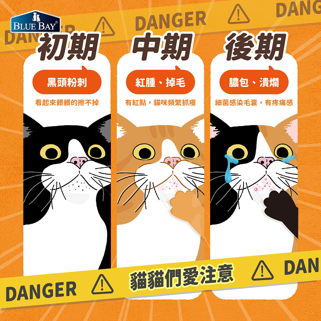 貓粉刺會惡化嗎