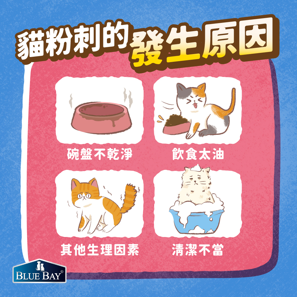貓粉刺原因