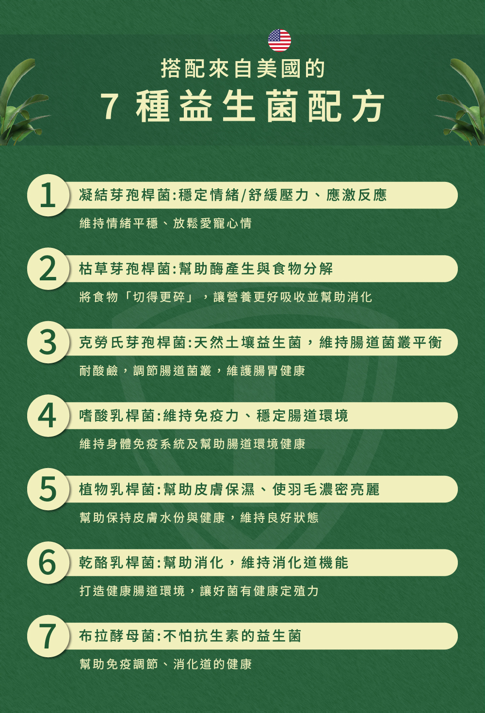 威旺WeWant 老鷹益生菌+益生元-超能7菌30g,七種益生菌配方的各自功效介紹