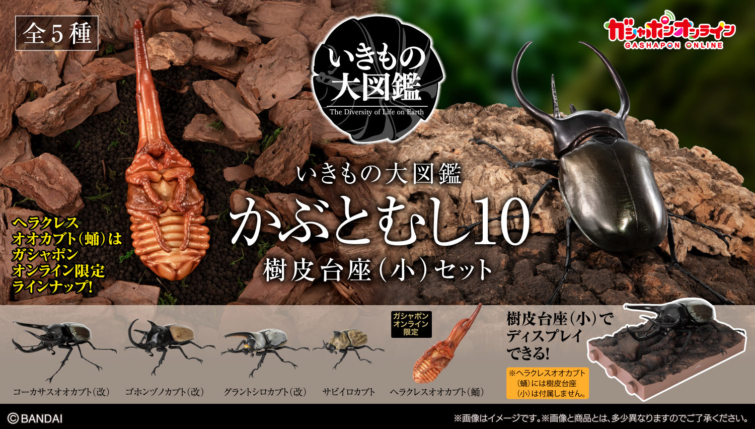 [魂SHOP限定GOL] 生物大圖鑑 甲蟲 10 細樹皮台座套裝 [GOL]THE DIVERSITY OF LIFE ON EARTH BEATLE10 BARK PEDESTAL (SMALL) SET