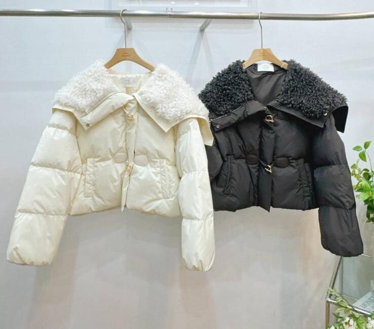 AB42 鴨絨90% 胸 46長21$739