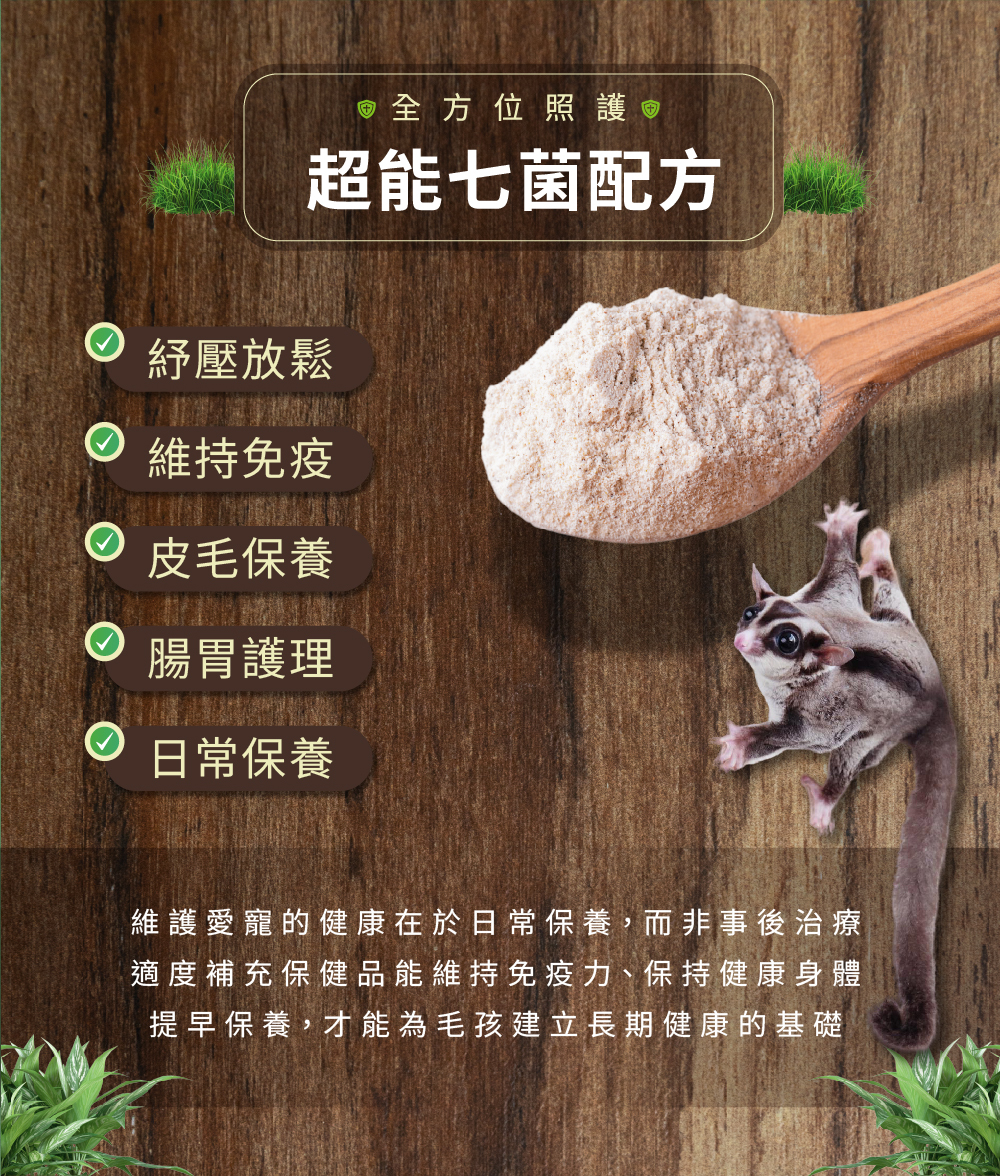 威旺WeWant 蜜袋鼯益生菌+益生元-超能7菌30g，產品功效簡介