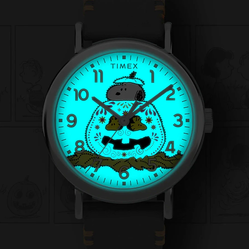 萬年鐘錶 - TIMEX 天美時   Peanuts Pumpkin 史奴比SNOOPY南瓜面盤男錶 TW2Y12300 錶徑40MM