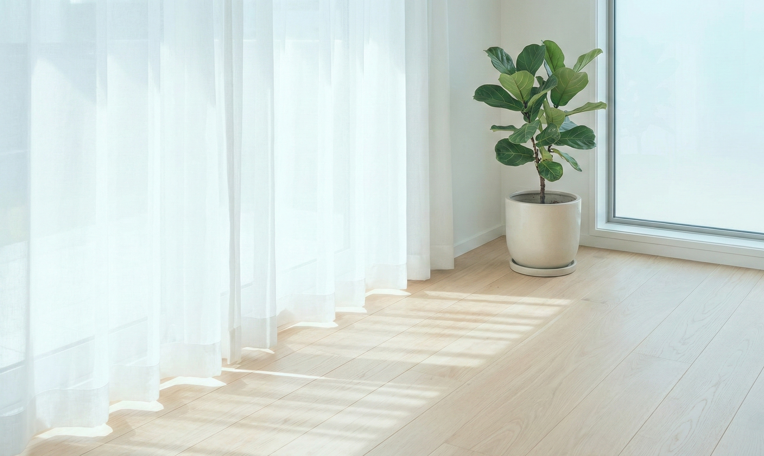 酵素清潔,使用自然配方輕鬆潔淨