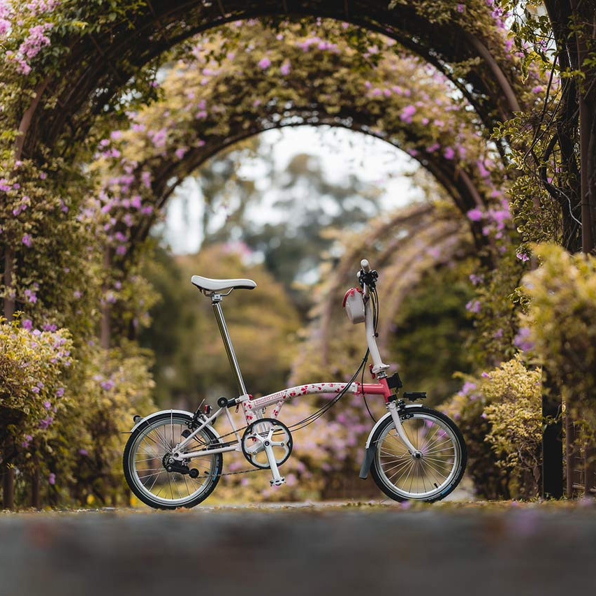 Brompton C Line 折疊單車 Cherry Blossom 櫻此粉 2025 Special Edition