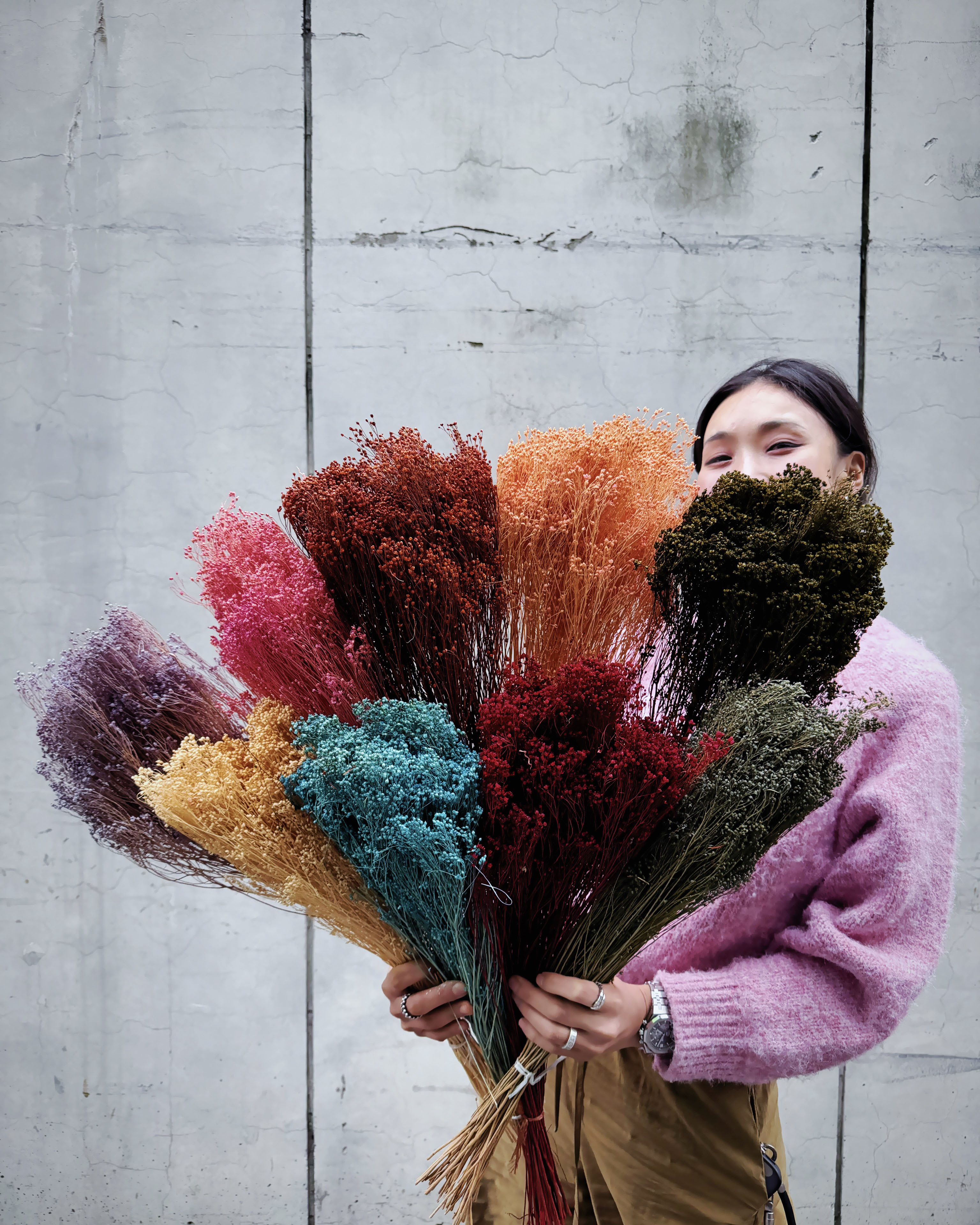 乾燥木滿天星（義大利）