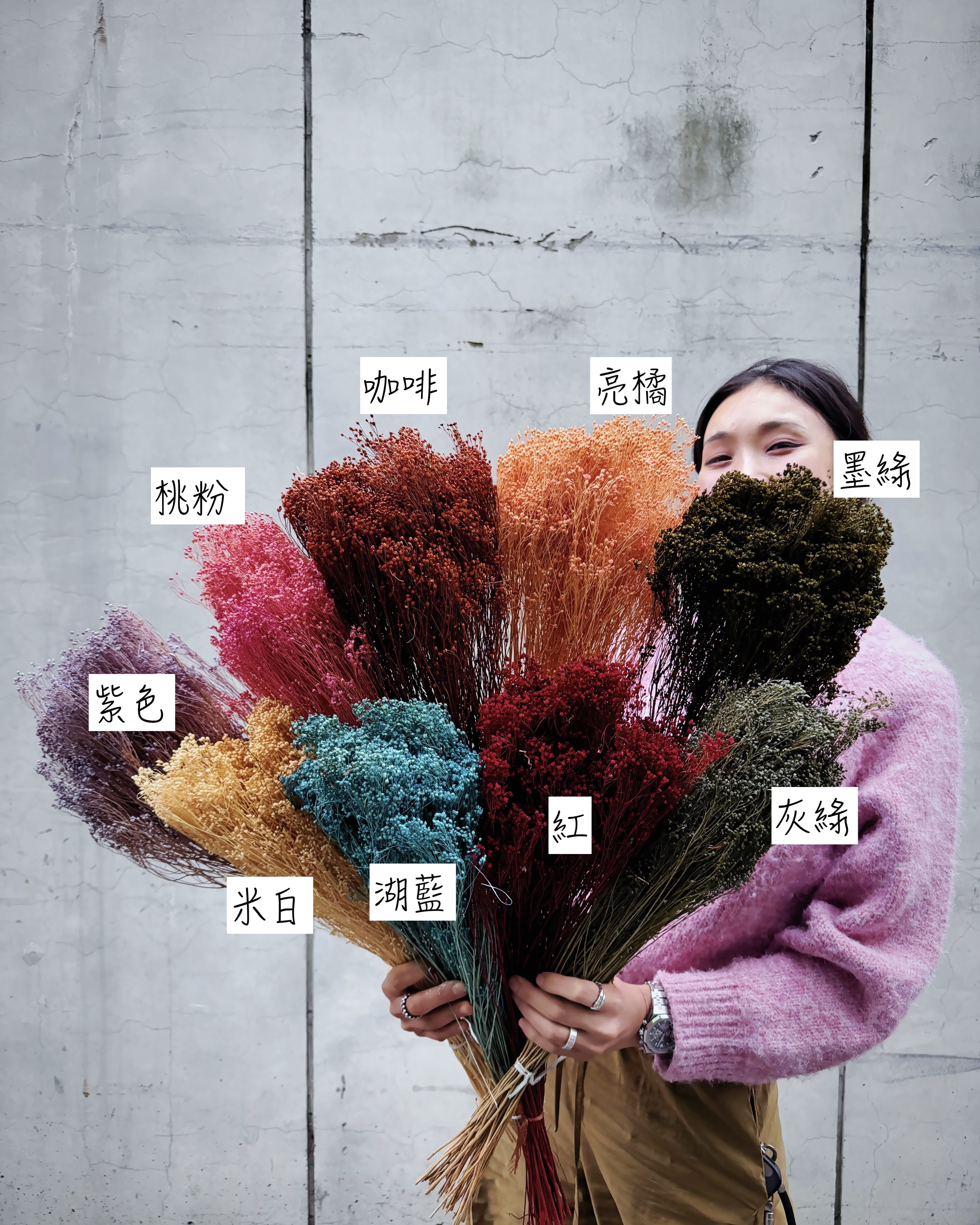 乾燥木滿天星（義大利）