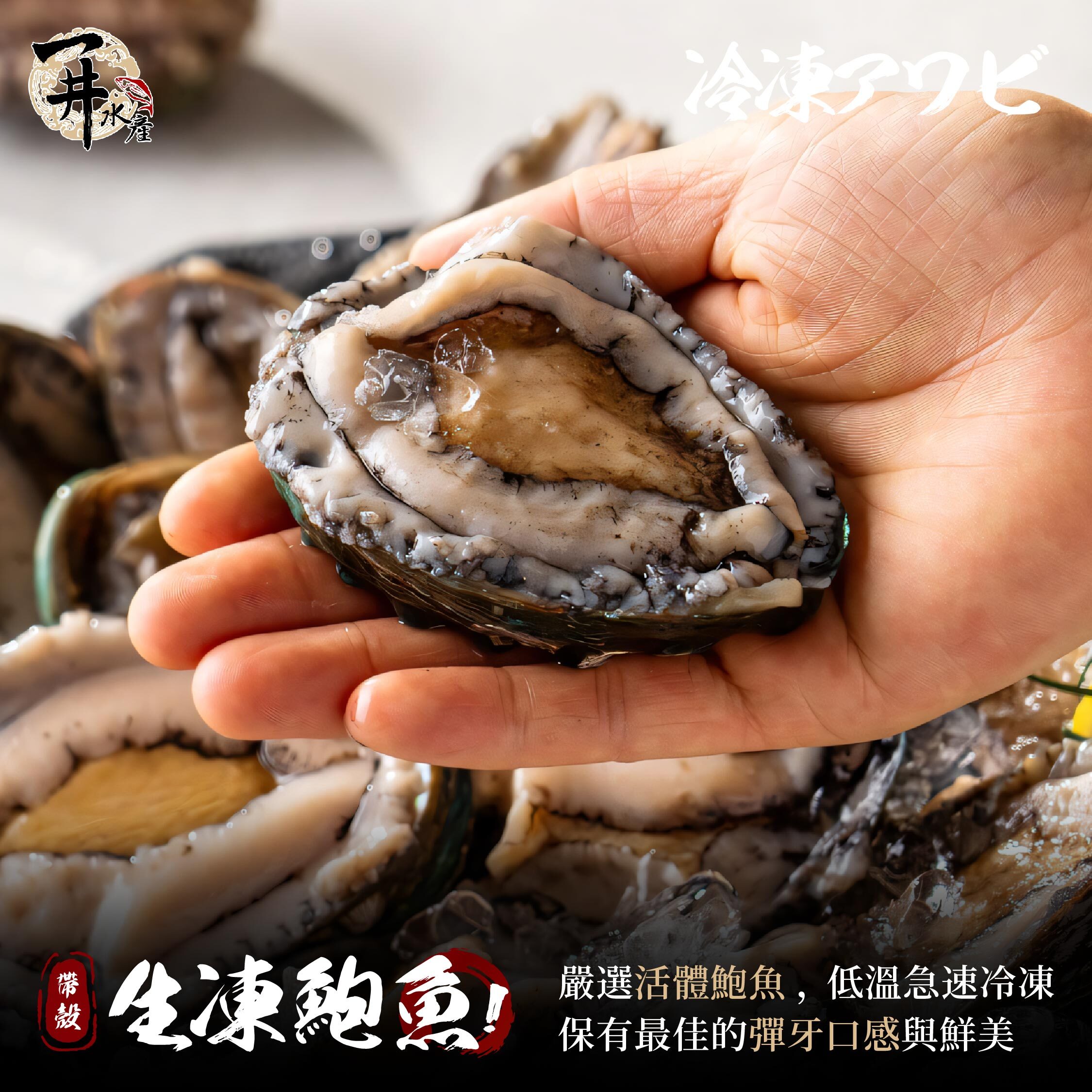 帶殼鮑魚 / 去殼鮑魚