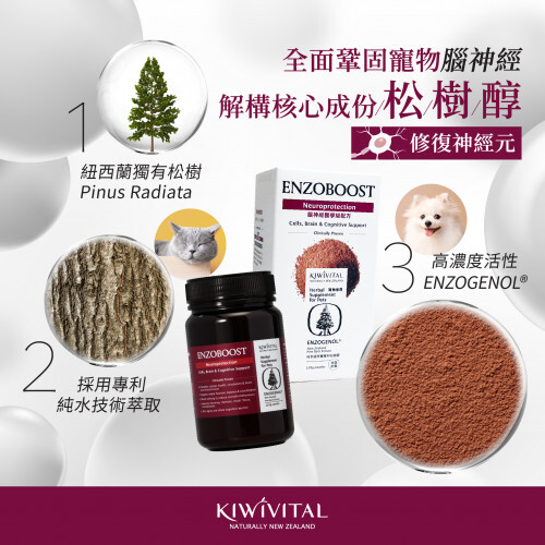 Kiwivital 紐西蘭草療營養專家 - EnzoBoost 120g