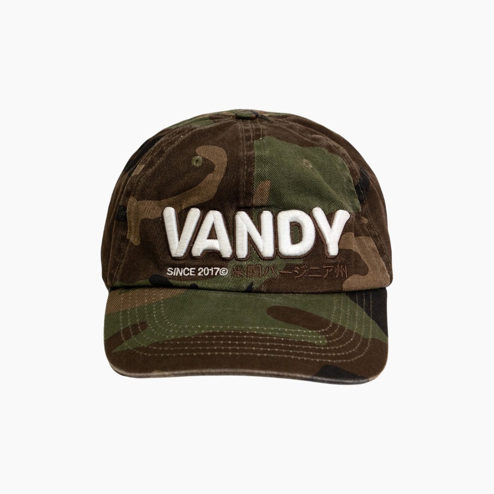 VANDY Camo Ball Cap