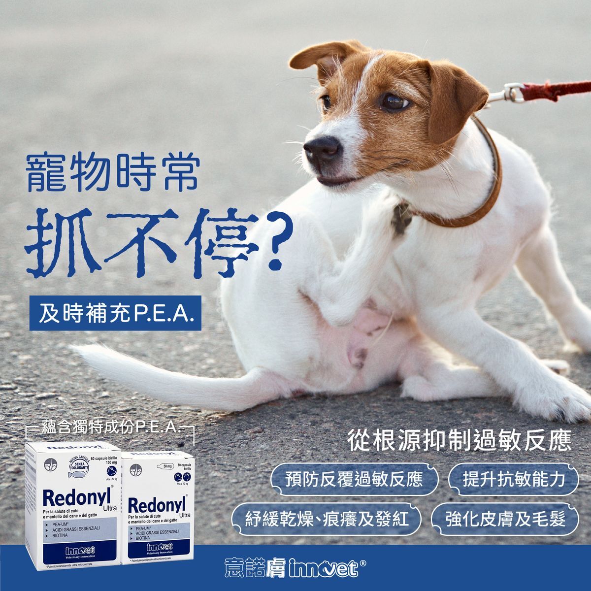 Innovet 意諾膚 - Redonyl Ultra 口服補充劑|50mg|150mg