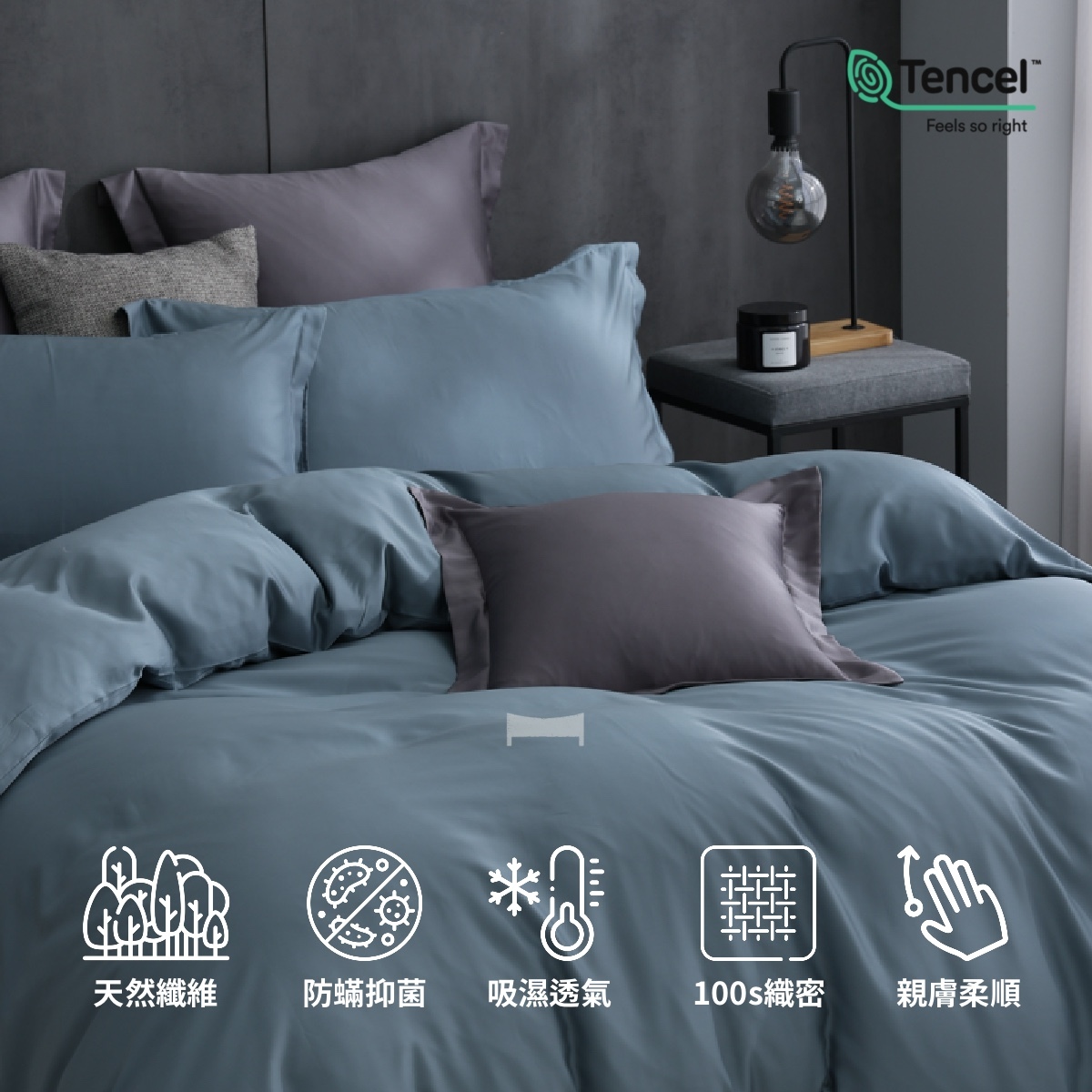 Microban AEGIS 說明圖 2