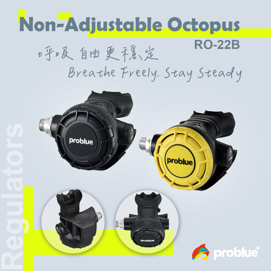 Problue 不可調 主用/備用二級頭 RO-22