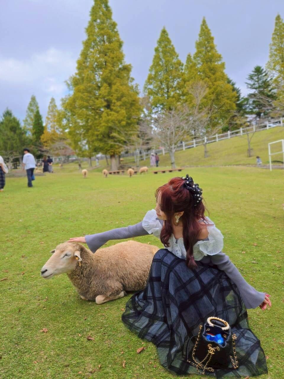 🎄日貨✨️絕美蕾絲格子紗裙