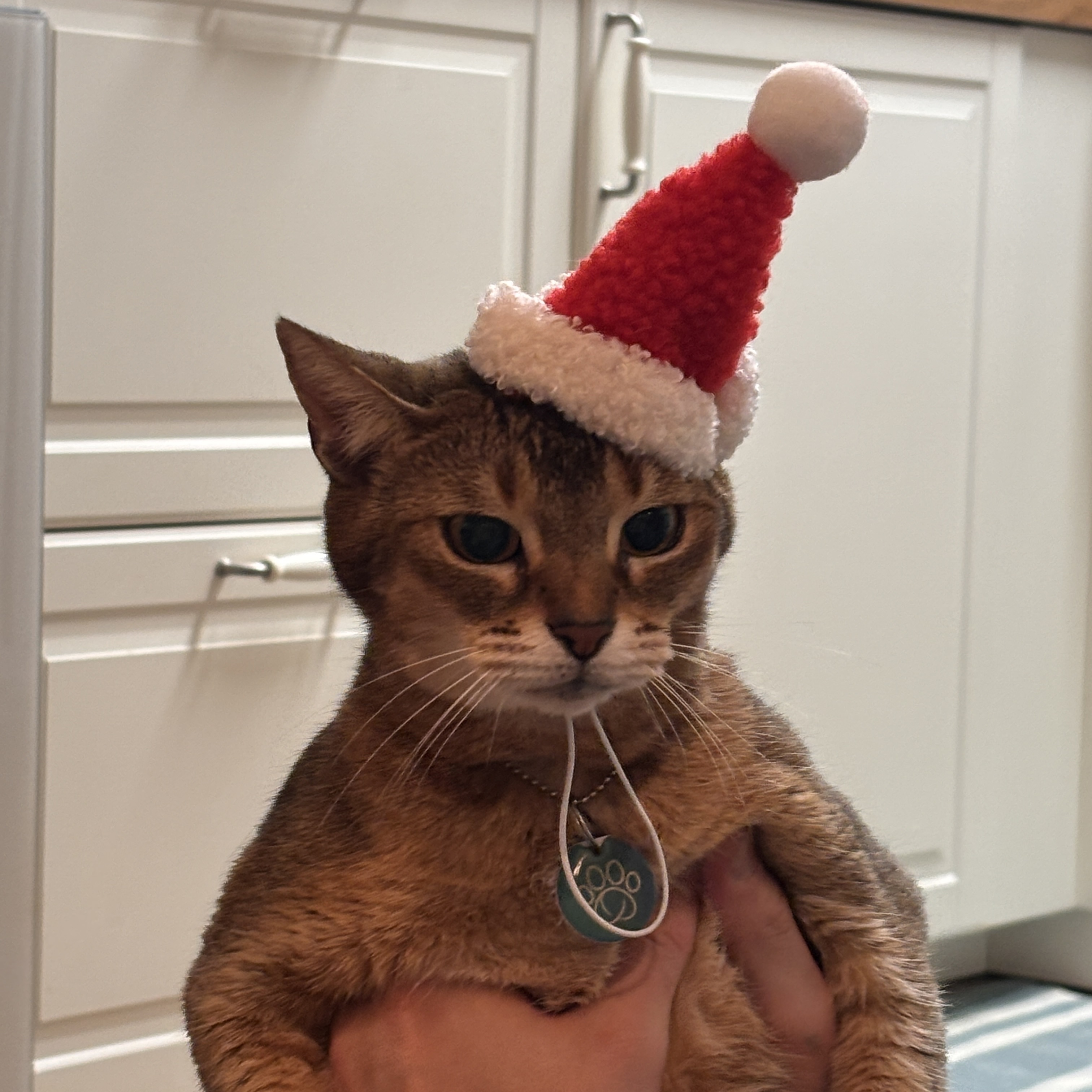 gottagohome．𝟐𝟎𝟐𝟓聖誕綠絨系列┃聖誕帽帽