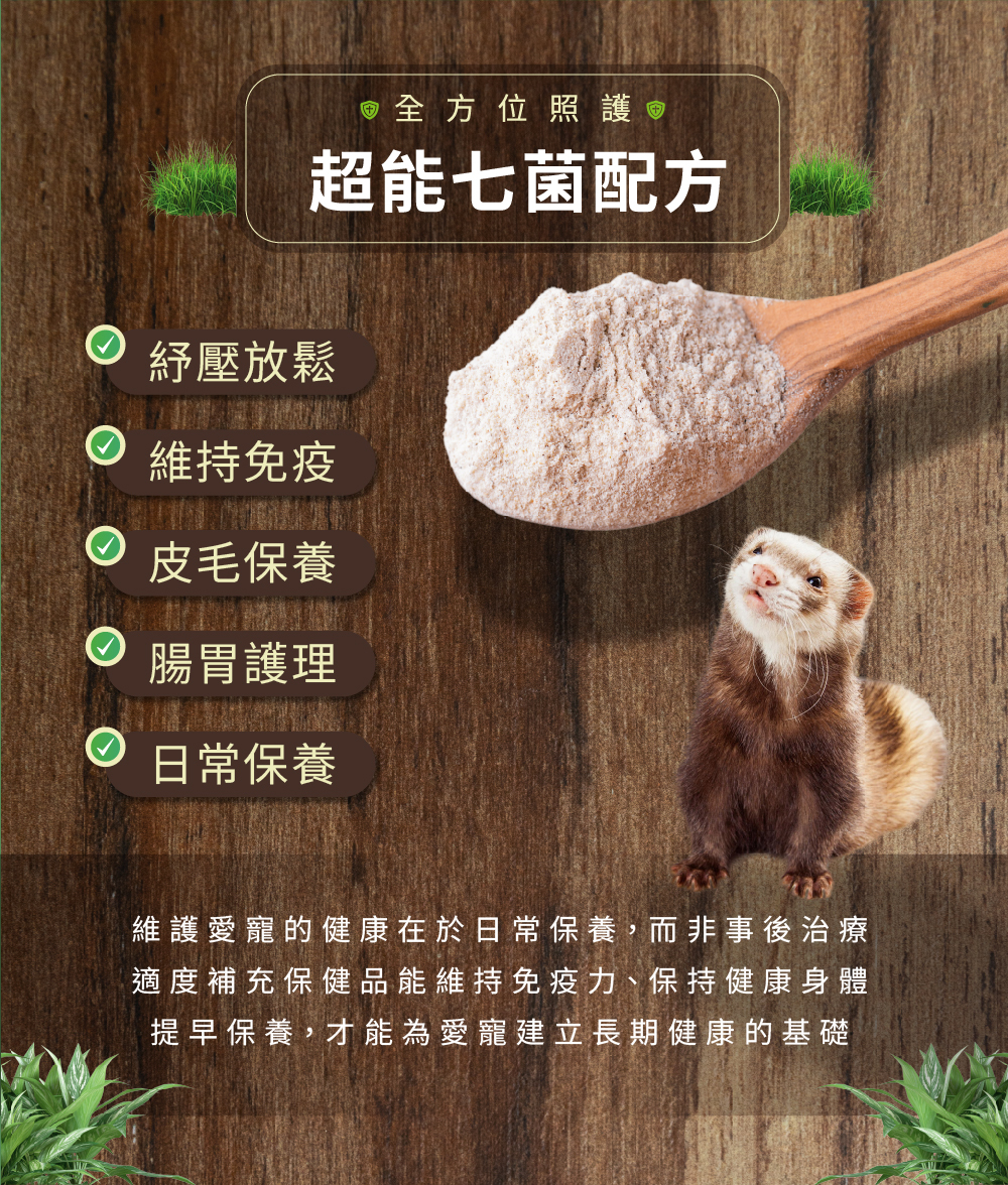 威旺WeWant 雪貂用益生菌+益生元-超能7菌30g,可幫助雪貂紓壓放鬆、皮膚保養、腸胃健康