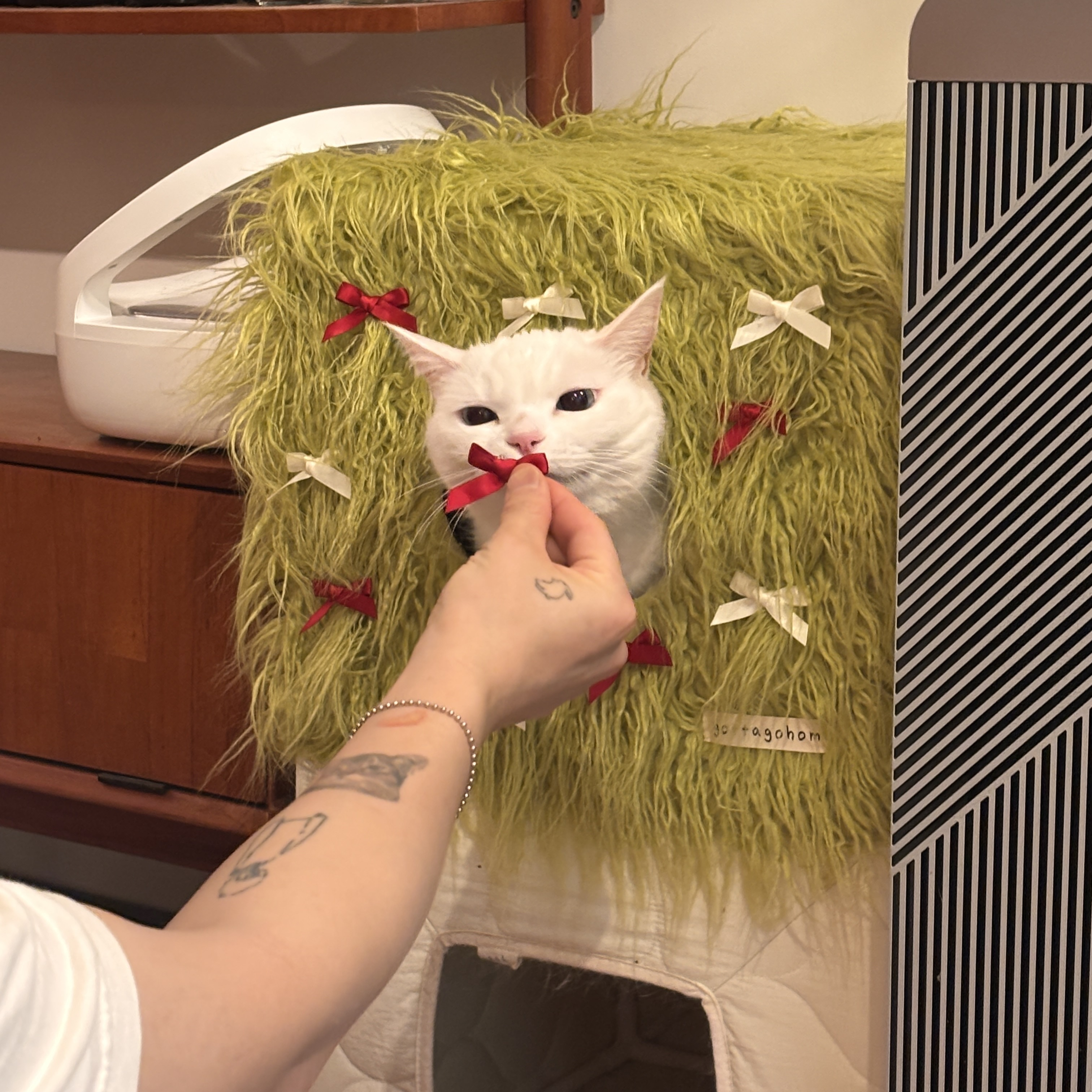 gottagohome．𝟐𝟎𝟐𝟓聖誕綠絨系列┃秘密方窩替換罩（不含骨架）