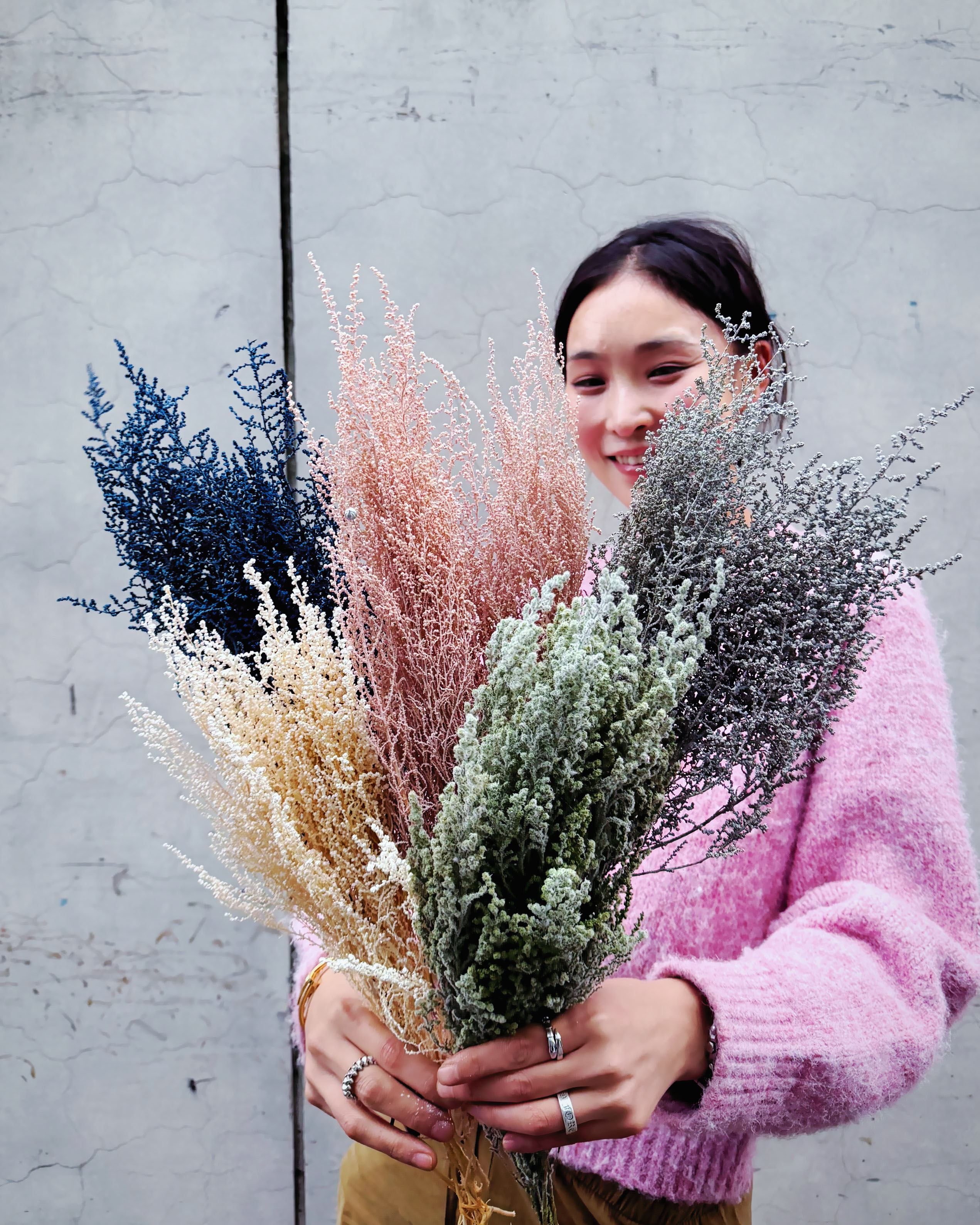 日本斯托貝（多色）