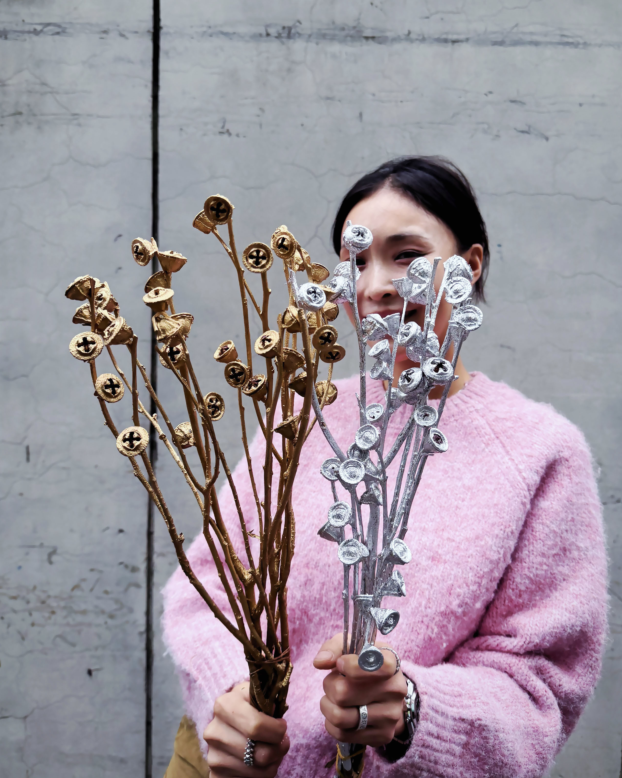 乾燥十字果(南非)