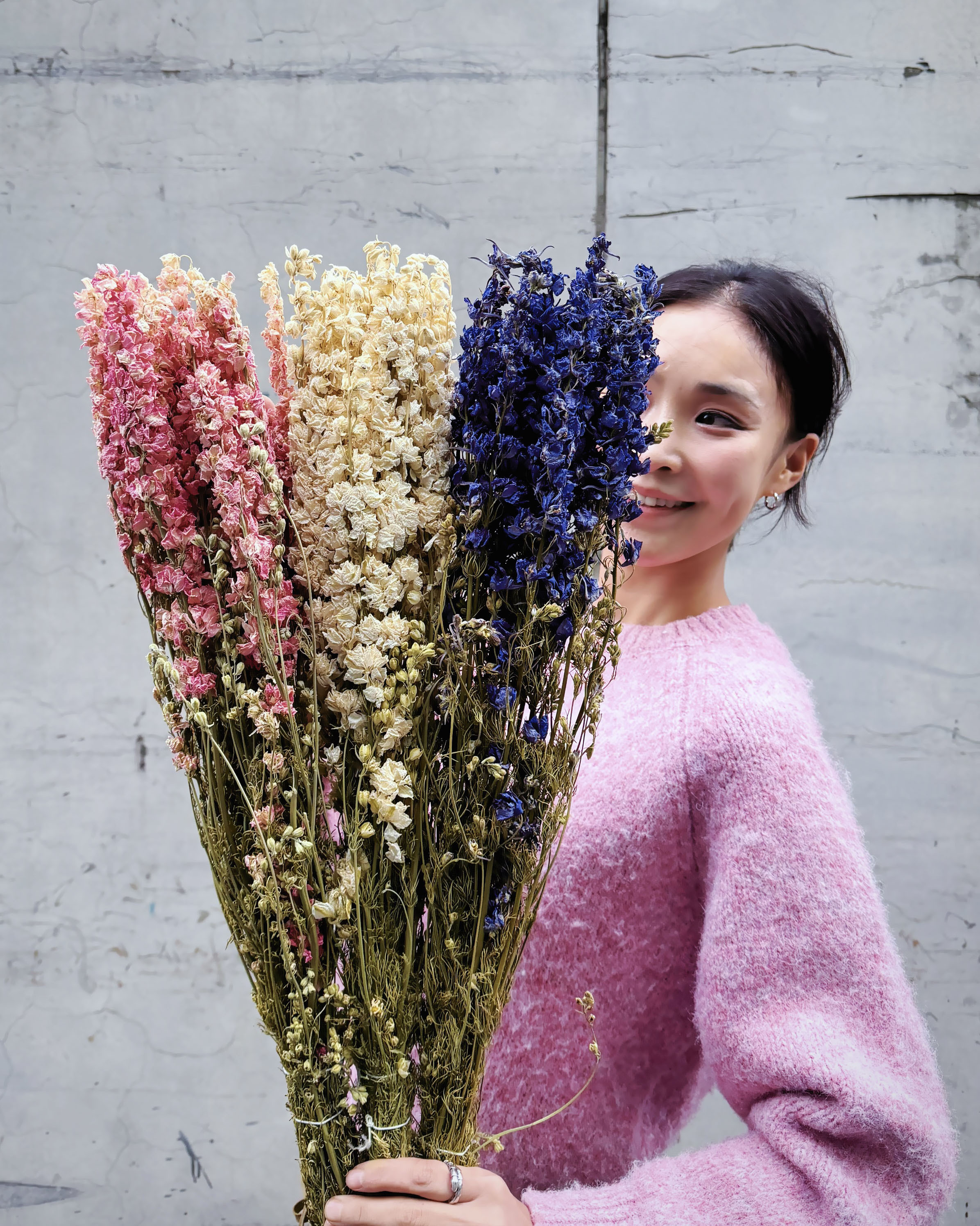 小飛燕草 (荷蘭，三色)